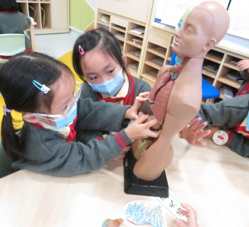 11我們有很多不同的器官